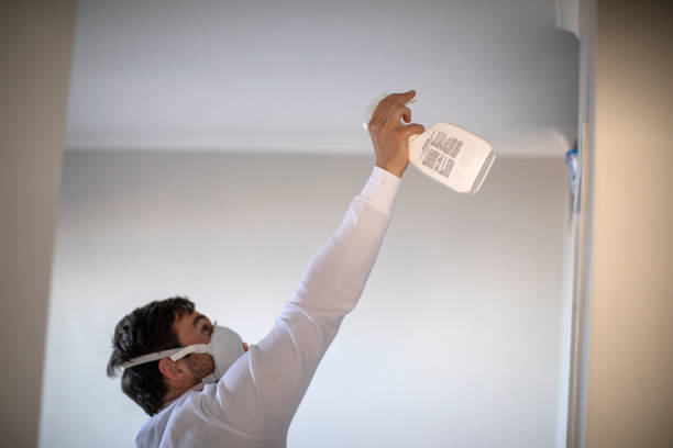 Best Best Mold Removal Companies  in Aho Falls, ID