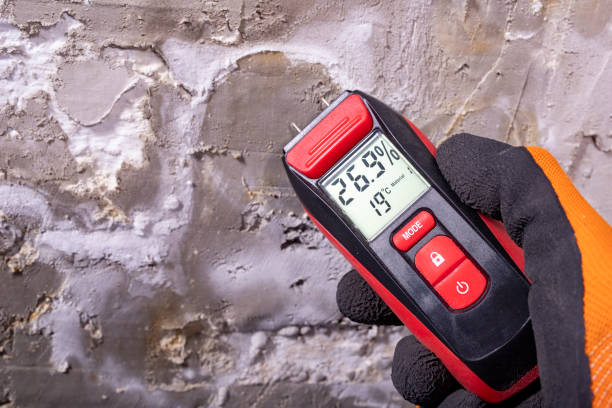 Best Affordable Mold Removal  in Aho Falls, ID